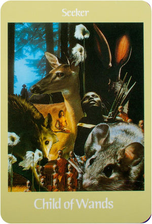 Voyager tarot - intuition cards for the 21st century