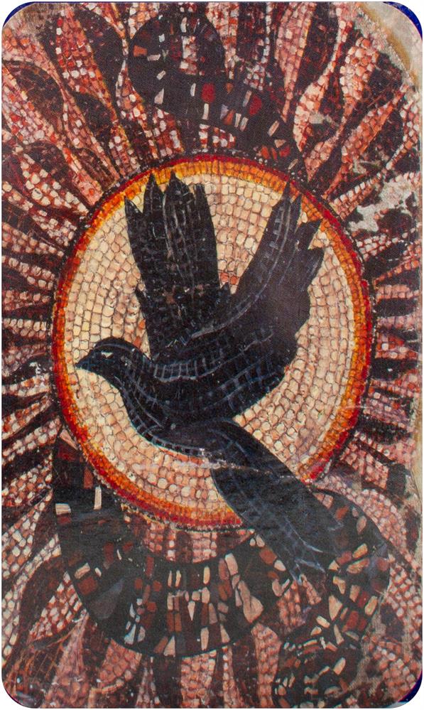 Sibyls oraculum Oracle of the Black Doves of Africa
