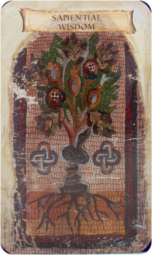 Sibyls oraculum Oracle of the Black Doves of Africa
