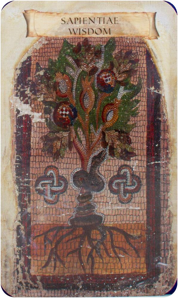 Sibyls oraculum Oracle of the Black Doves of Africa