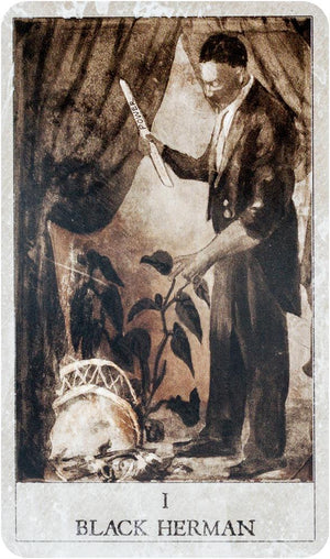 Hoodoo Tarot : 78-Card Deck and Book for Rootworkers