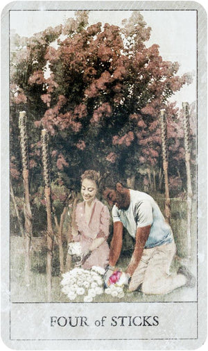 Hoodoo Tarot : 78-Card Deck and Book for Rootworkers