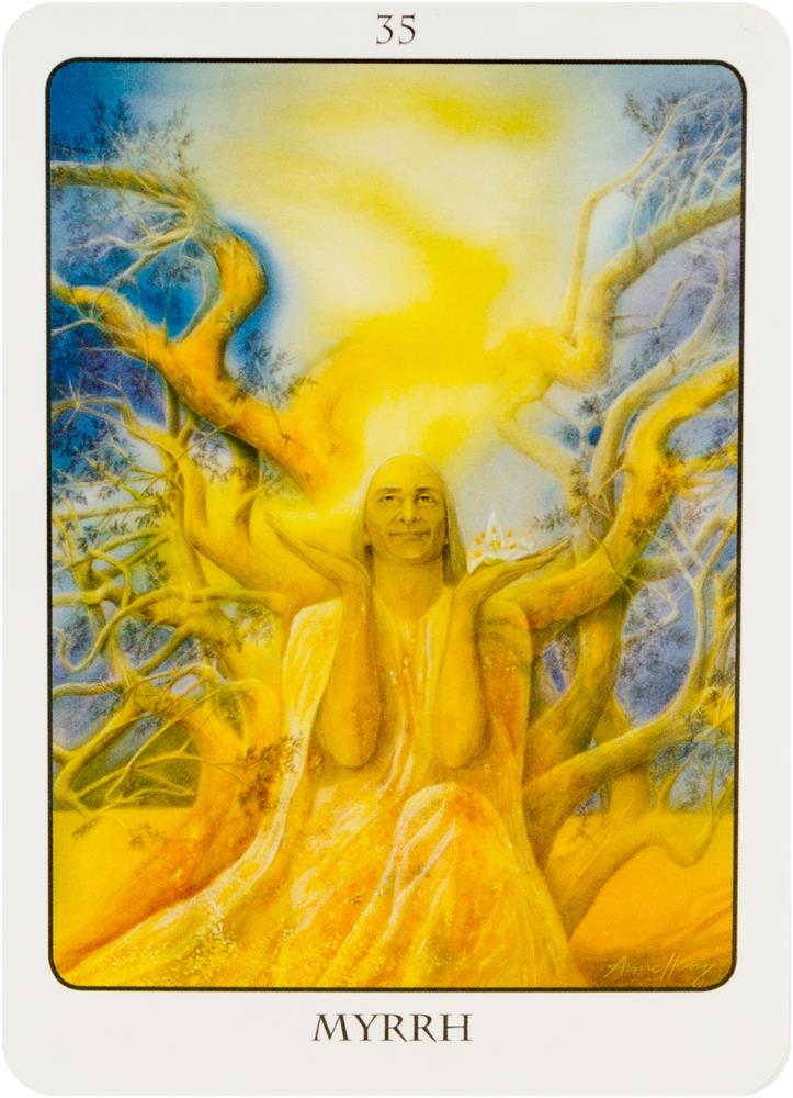 Tree Angel Oracle Deck