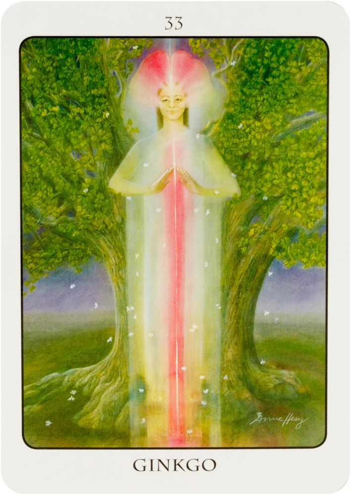 Tree Angel Oracle Deck