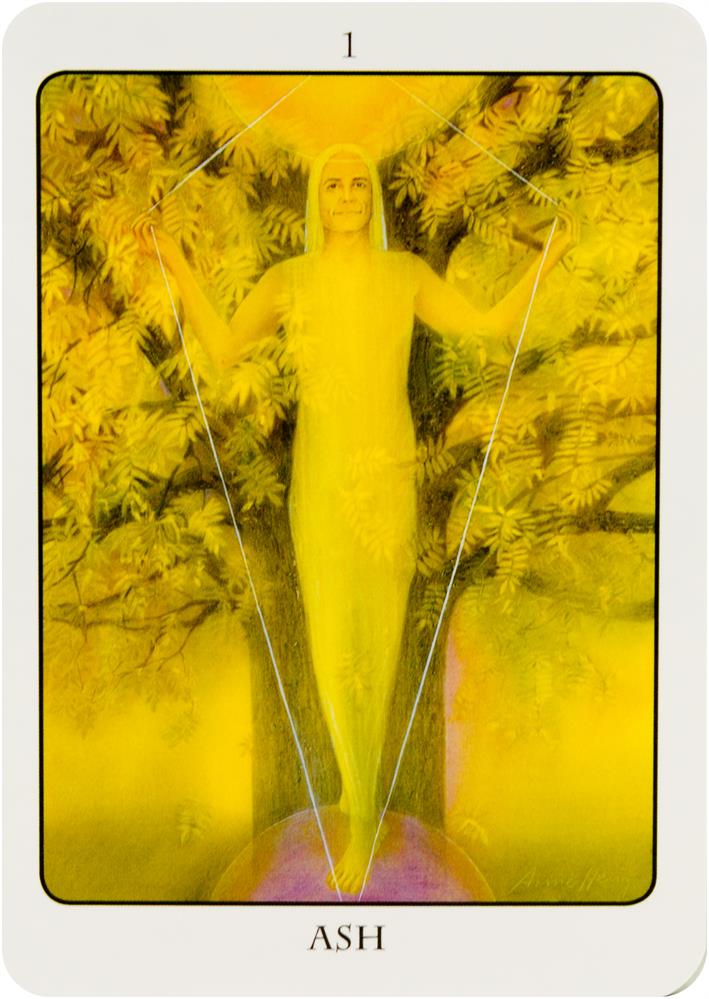 Tree Angel Oracle Deck