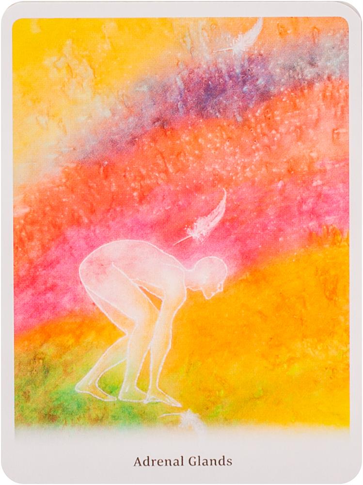 Body Healing Cards