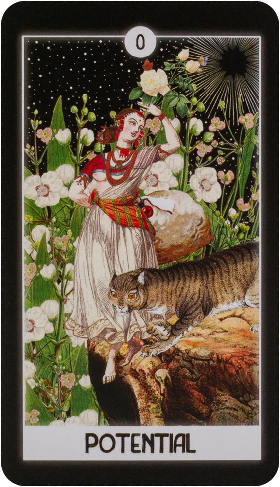 Intuitive Night Goddess Tarot: Deck & Guid