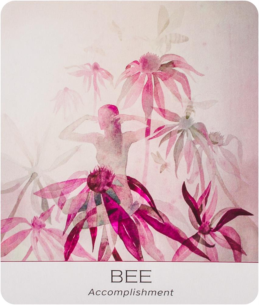 Nature and Soul Yoga Wisdom Cards