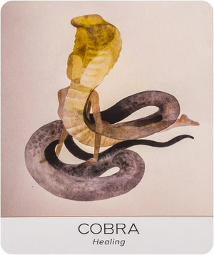 Nature and Soul Yoga Wisdom Cards