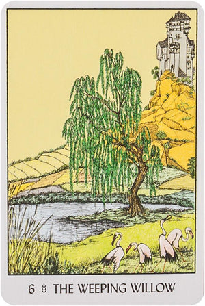 Oracle of the Trees