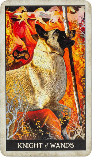 Wise Dog Tarot
