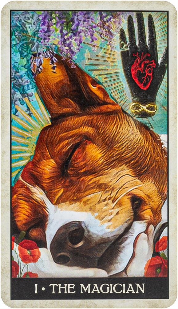 Wise Dog Tarot