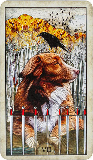Wise Dog Tarot