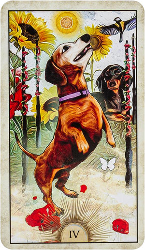 Wise Dog Tarot