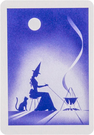 Reading Fortune Telling Cards SET which in