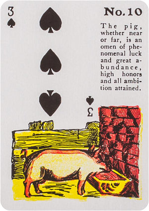 Reading Fortune Telling Cards SET which in