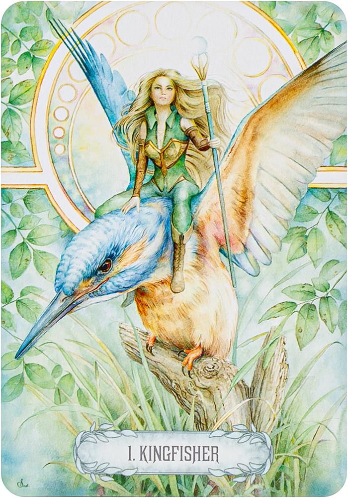 Oracle Of Light And Dreams