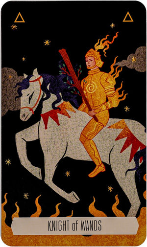 Zodiac Tarot Deck & Book Set