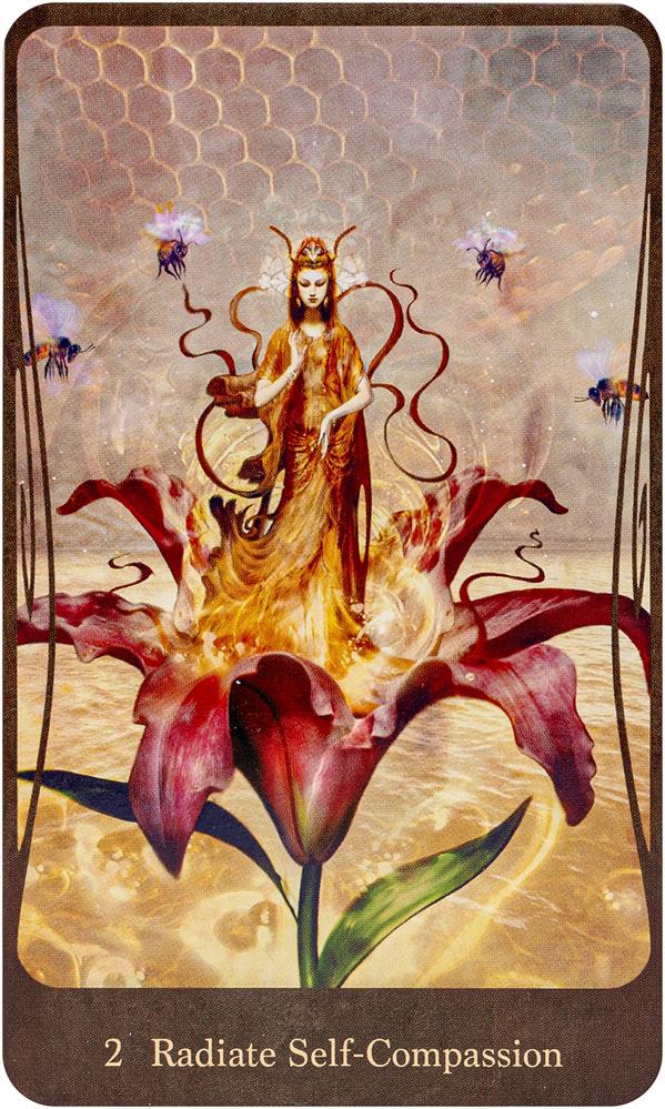 Divine Nature Oracle Deck & Book Set