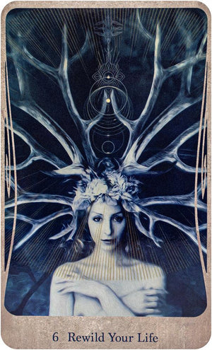 Divine Nature Oracle Deck & Book Set