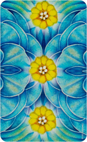 Woven Spirit Oracle : Connect with Universal Energy