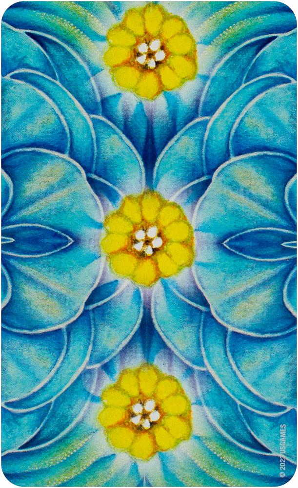 Woven Spirit Oracle : Connect with Universal Energy