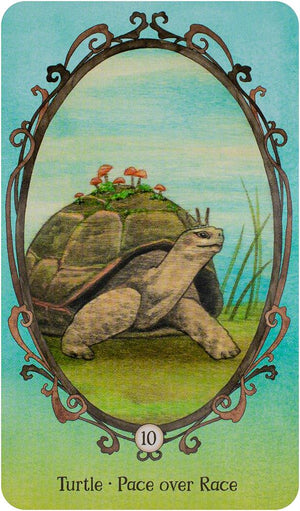 Wing, Hoof and Paw: An Animal Companion Oracle