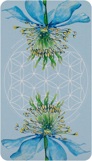 Black Seed Tarot