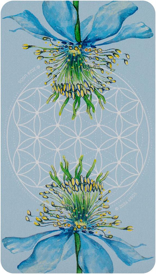 Black Seed Tarot