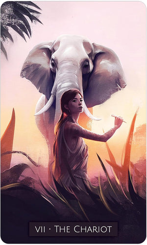 Siena Summers Tarot