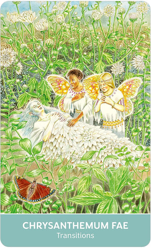 Field Guide to the Flower Fae