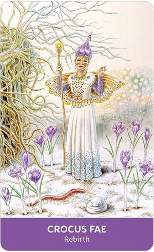 Field Guide to the Flower Fae