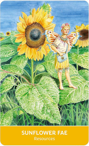 Field Guide to the Flower Fae