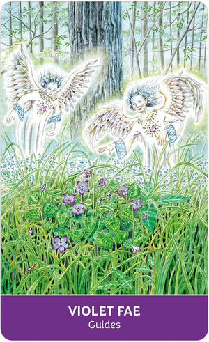 Field Guide to the Flower Fae