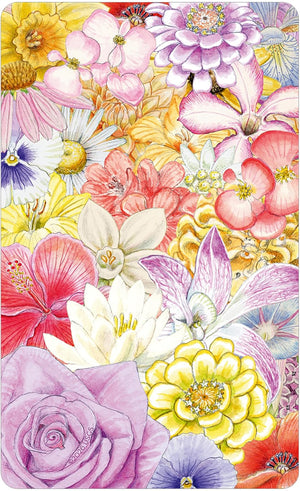 Field Guide to the Flower Fae