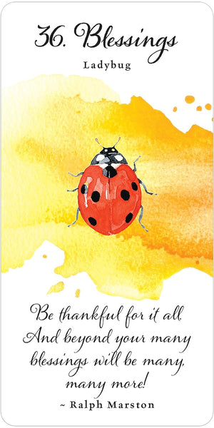 Divine Butterfly Messenger Deck & Book Set