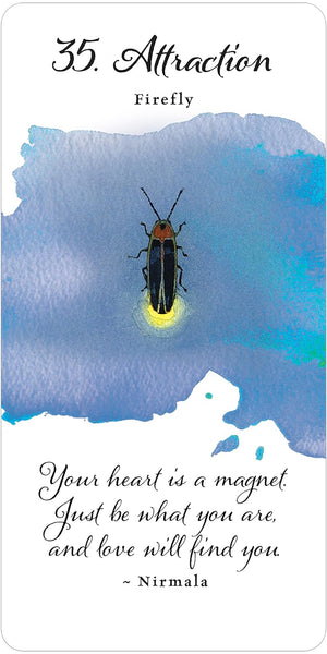 Divine Butterfly Messenger Deck & Book Set