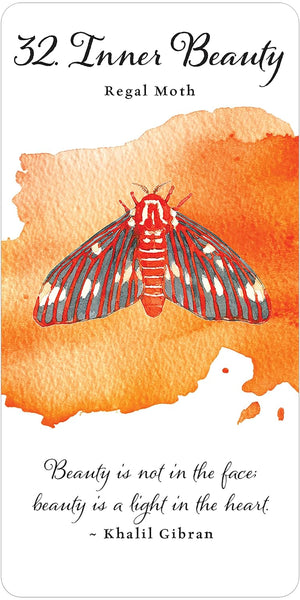 Divine Butterfly Messenger Deck & Book Set