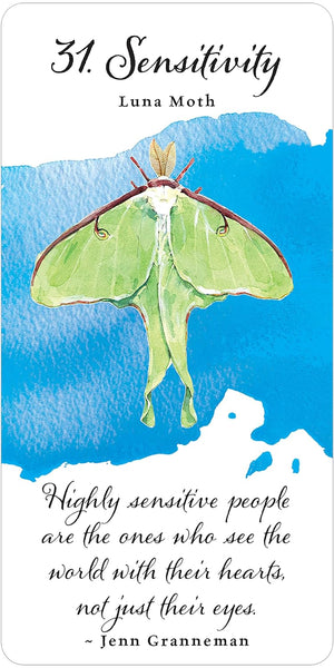 Divine Butterfly Messenger Deck & Book Set