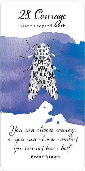 Divine Butterfly Messenger Deck & Book Set
