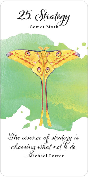 Divine Butterfly Messenger Deck & Book Set
