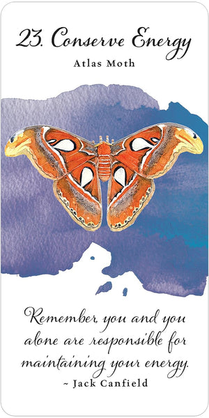 Divine Butterfly Messenger Deck & Book Set