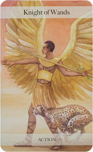 The Angel Tarot: Includes a full deck of 78 specially commissioned tarot cards and a 64-page illustrated book