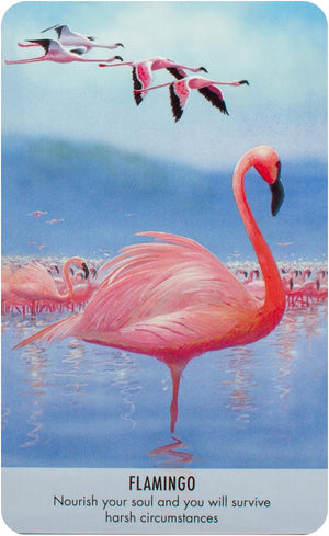 Bird Messages