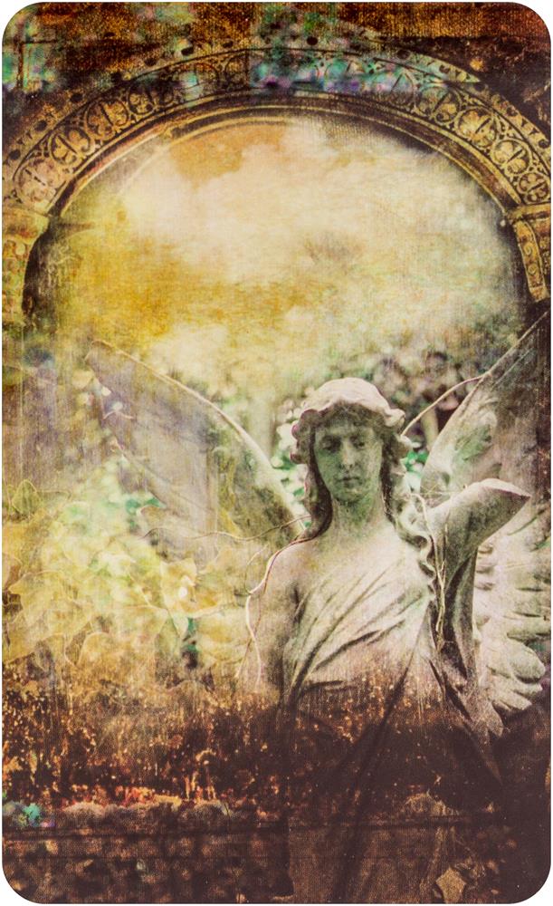 Fallen Angel Oracle Cards :