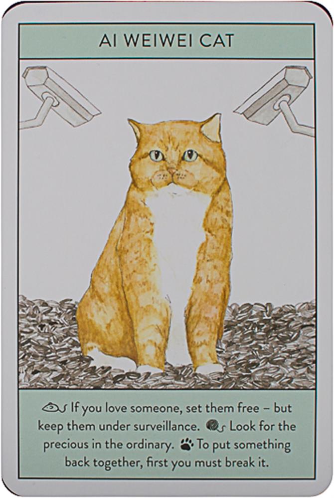 Cat Gurus