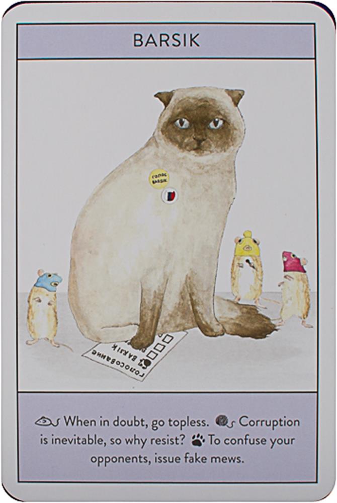 Cat Gurus