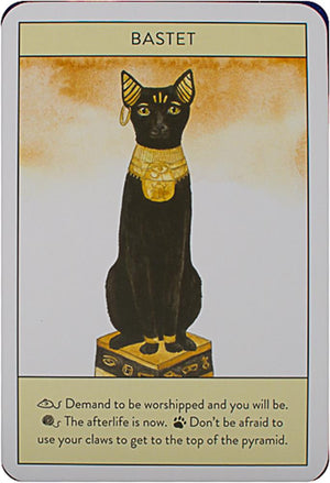 Cat Gurus