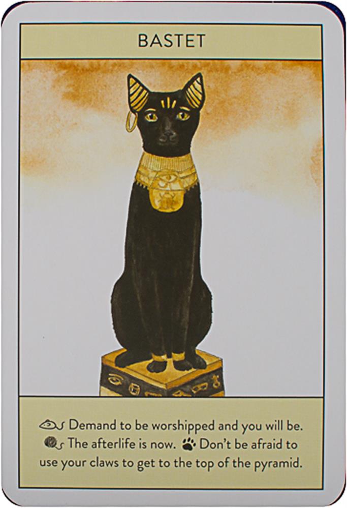 Cat Gurus