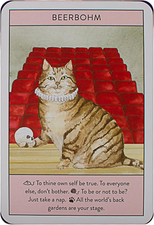 Cat Gurus